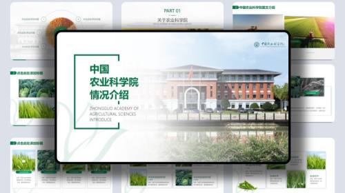 企业介绍