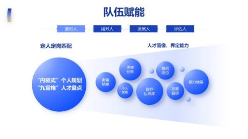 多项内容
