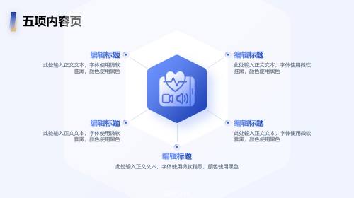 五项内容