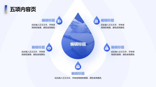 五项内容