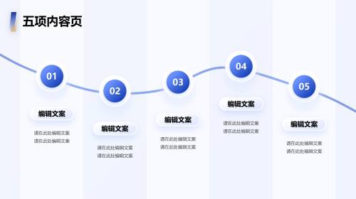 五项内容