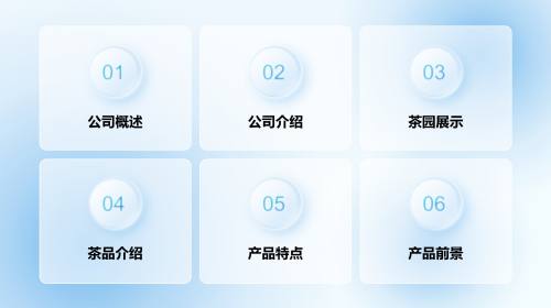 目录