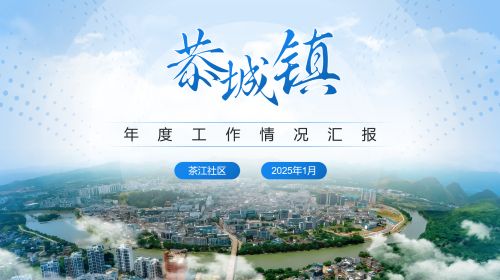 年度工作总结